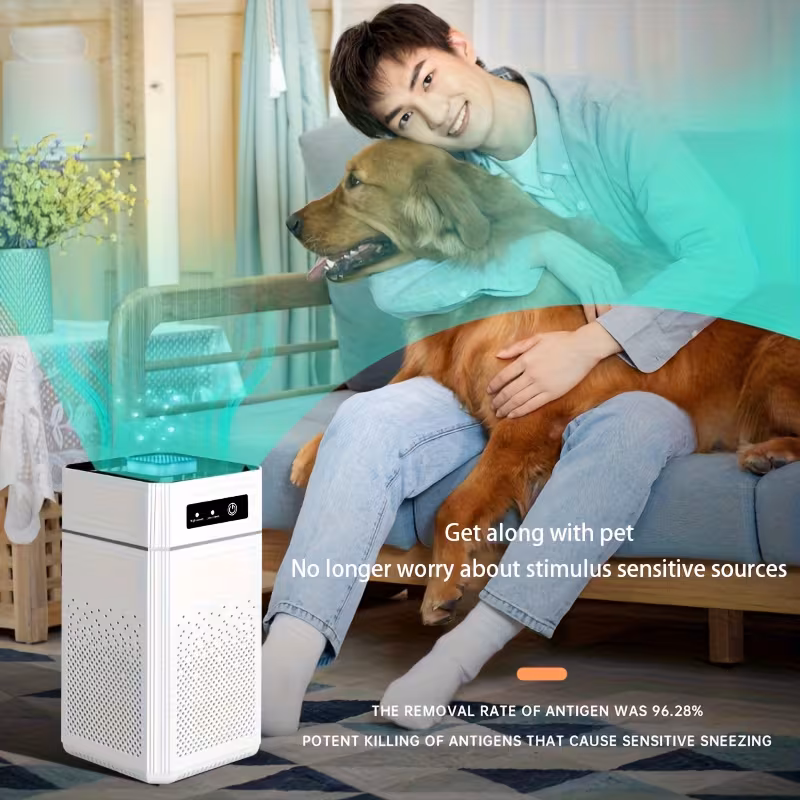 Shoppy Portable Negative Ion Air Purifier with HEPA Filter – USB Powered, Removes Odors & Dust Shoppy portable negative ion air purifier