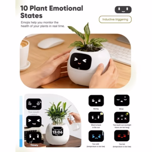 Shoppy smart flower pot planter robot