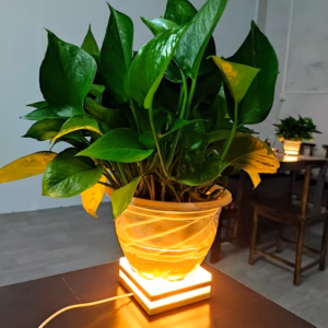 Shoppy square wooden art table lamp