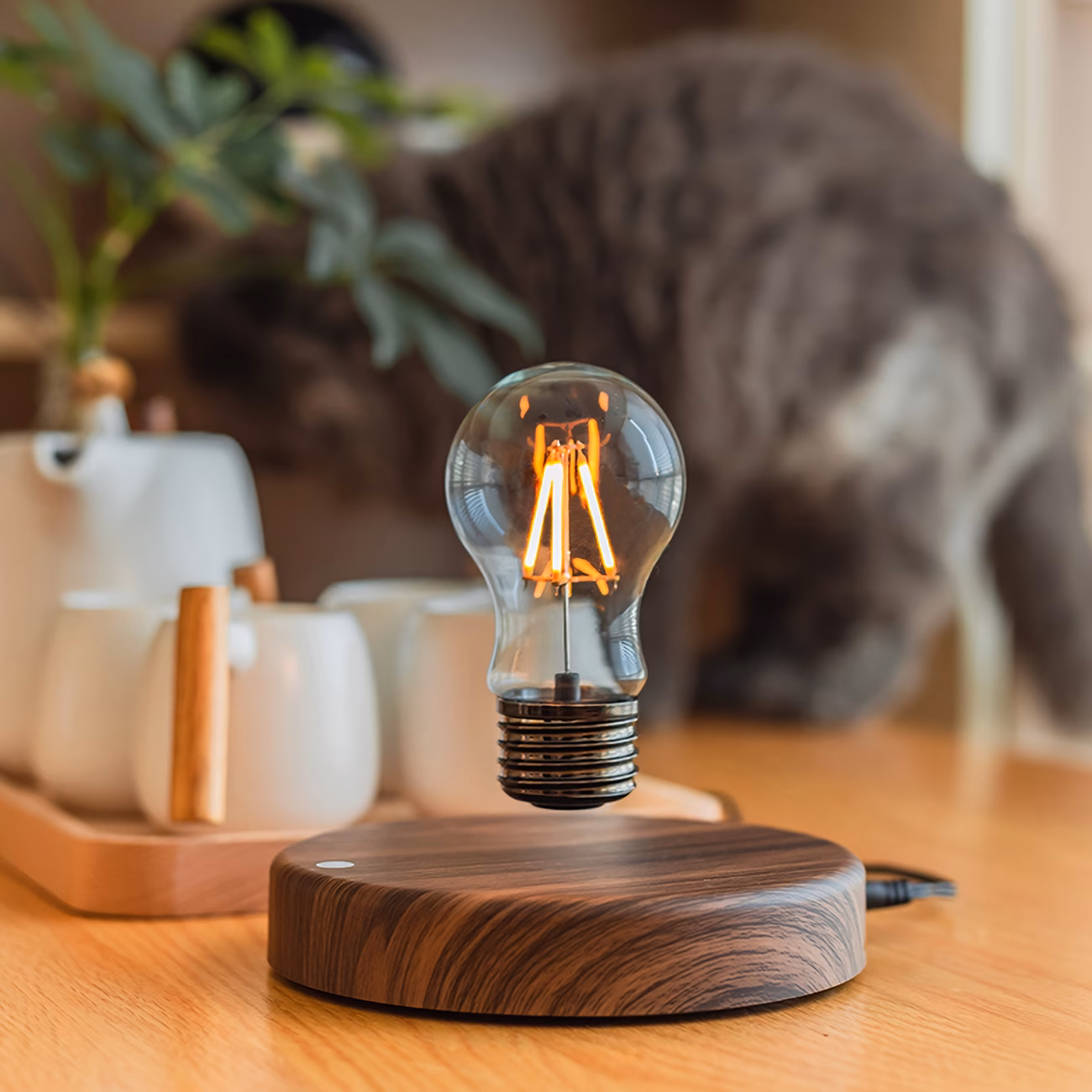 Shoppy Levitating Light Bulb Lamp – Magnetic Floating Night Light, Unique Desk Lamp for Bedroom, Father's Day Gift Shoppy levitating light bulb lamp magnetic