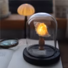 Shoppy handmade sea urchin shell night light coastal decor