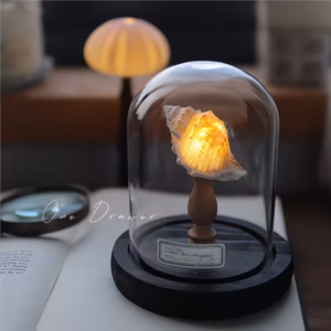 Shoppy handmade sea urchin shell night light coastal decor