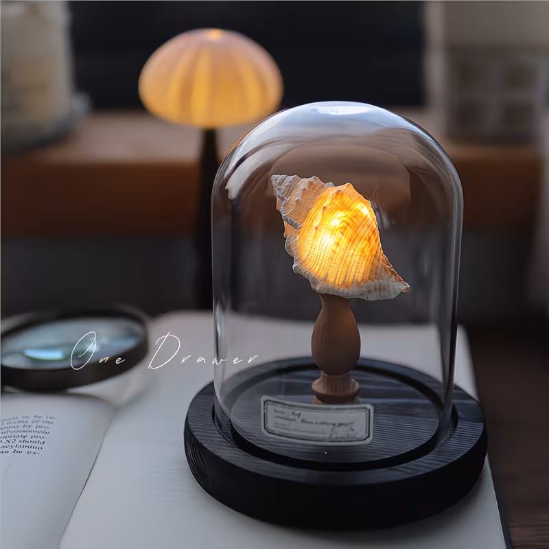 Shoppy Handmade Sea Urchin Conch Shell Night Light – Ocean Island Retro Coastal Decor Lamp, Battery Operated Shoppy handmade sea urchin shell night light coastal decor