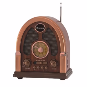 Shoppy portable radio speaker with Bluetooth
