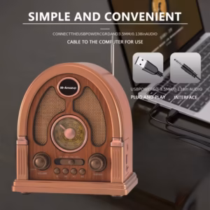 Shoppy portable radio speaker with Bluetooth